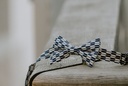 nœud papillon bleu