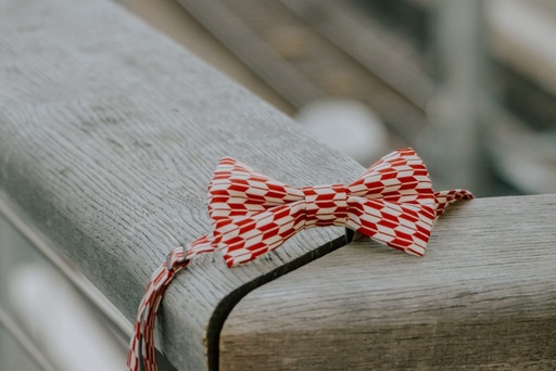Nœud papillon rouge