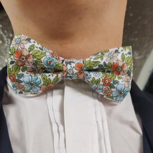 Nœud papillon vert