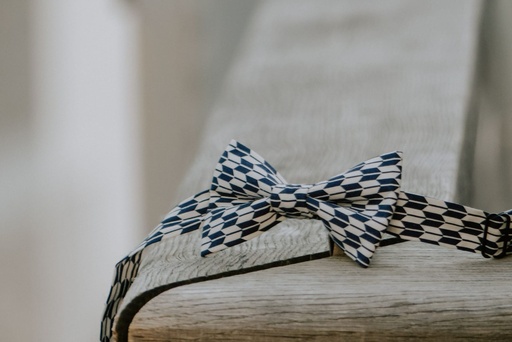nœud papillon bleu